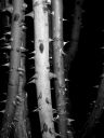 P-0014.jpg