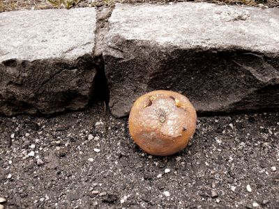 Kliknite pre zobrazenie veľkého obrázka